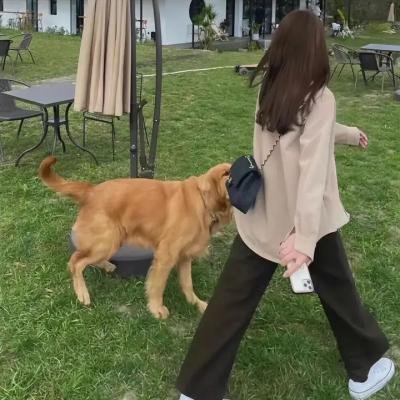 以父亲的名义